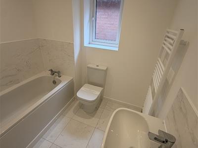 Picture 13
